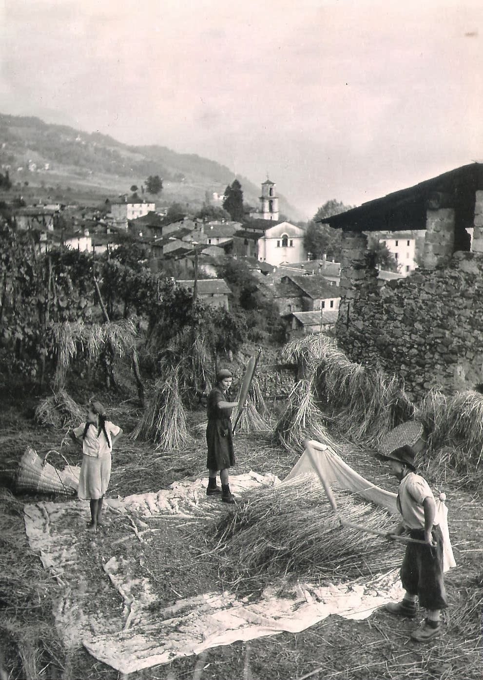 Campagna e dintorni