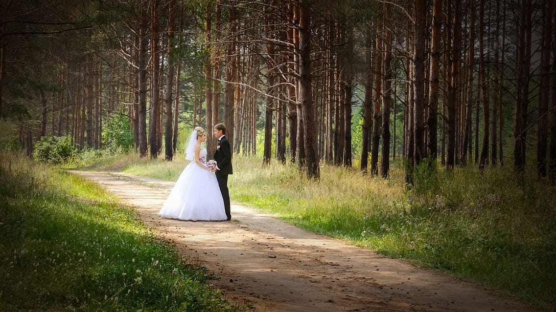 matrimonio bosco 1136