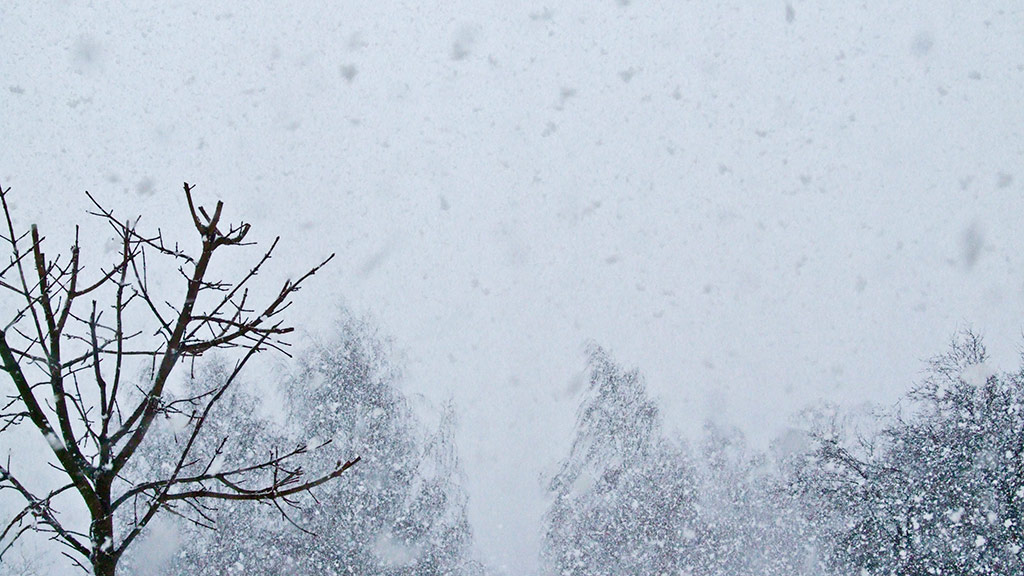 nevicata